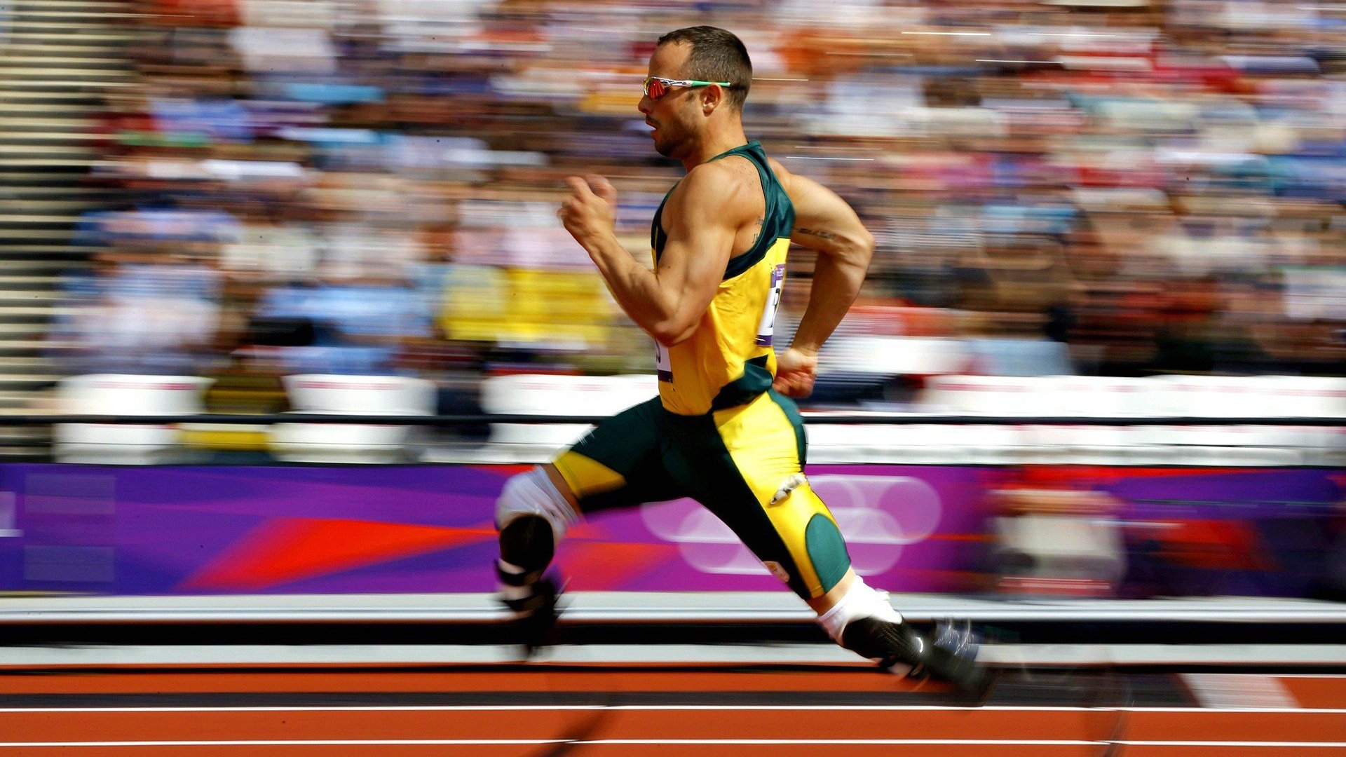 世界残疾人羽毛球世锦赛 中国选手多级别站上最高领奖台